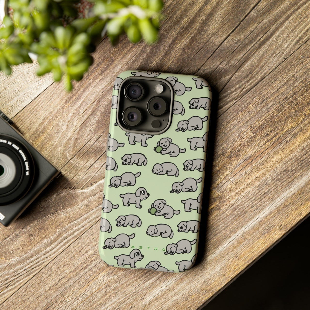 Paw Picnic iPhone 15 Plus Matte Phone Case Accessories Elite Glossy iPhone Cases Matte mobi Phone accessory Phone Cases Samsung Cases Valentine's Day Picks