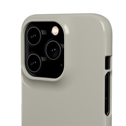 Natural Titanium iPhone 13 Glossy Phone Case Accessories Classic Glossy iPhone Cases Matte Phone Cases Samsung Cases