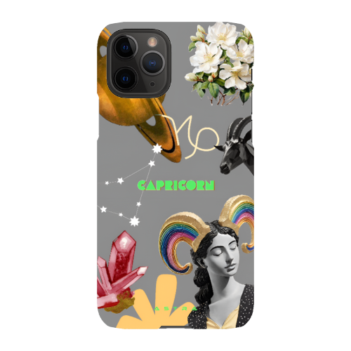 CAPRICORN Apple iPhone 11 Pro Phone Cases ASTRA-LOGY