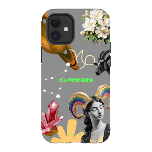 CAPRICORN Apple iPhone 12 Mini Phone Cases