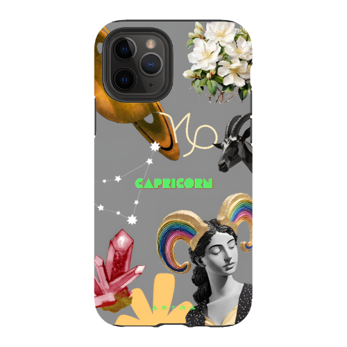 CAPRICORN Apple iPhone 11 Pro Phone Cases