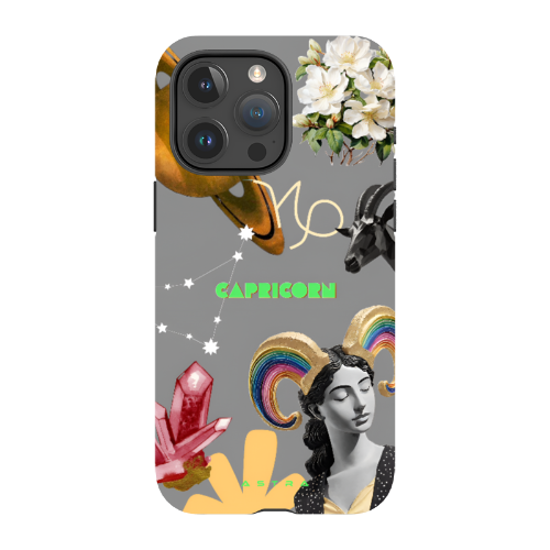 CAPRICORN Apple iPhone 15 Pro Max Phone Cases