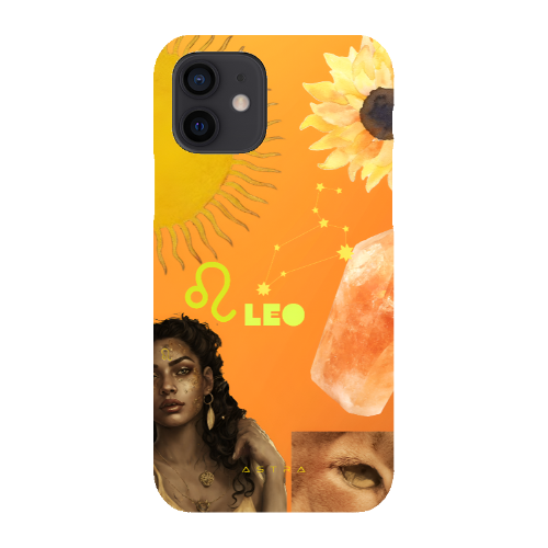 LEO Apple iPhone 12 Pro Max Phone Cases