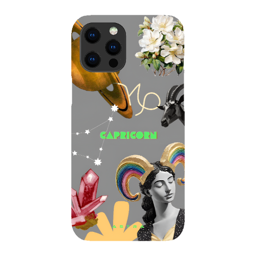 CAPRICORN Apple iPhone 11 Phone Cases