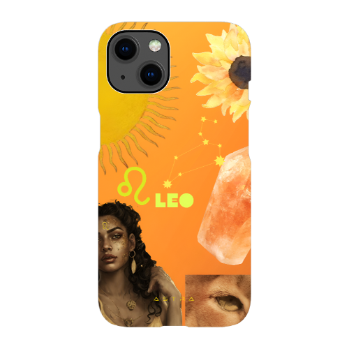 LEO Apple iPhone 12 Pro Max Phone Cases