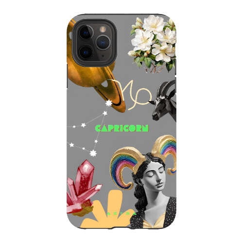 CAPRICORN Apple iPhone 11 Pro Max Phone Cases