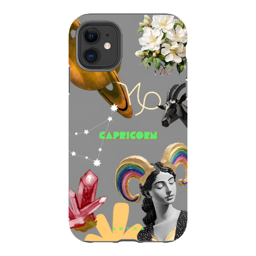 CAPRICORN Apple iPhone 11 Phone Cases