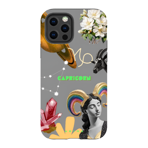 CAPRICORN Apple iPhone 12 Pro Phone Cases