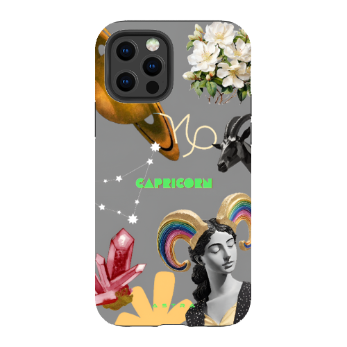 CAPRICORN Apple iPhone 12 Pro Max Phone Cases