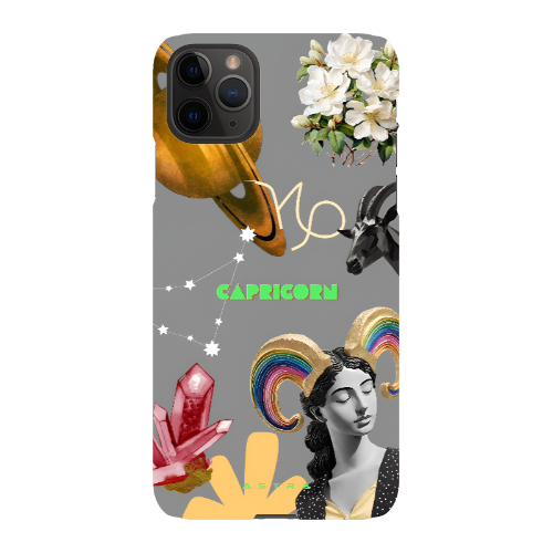 CAPRICORN Apple iPhone 11 Pro Max Phone Cases