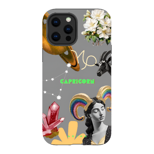 CAPRICORN Apple iPhone 13 Pro Max Phone Cases
