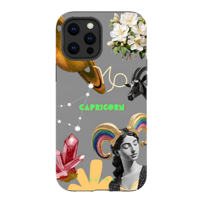 CAPRICORN Apple iPhone 13 Pro Max Phone Cases