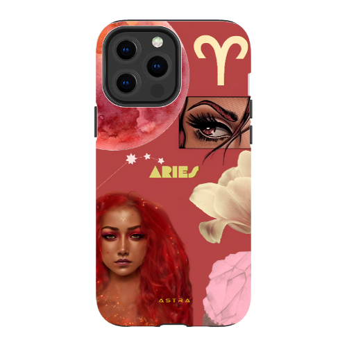 ARIES Apple iPhone 13 Pro Max Phone Cases